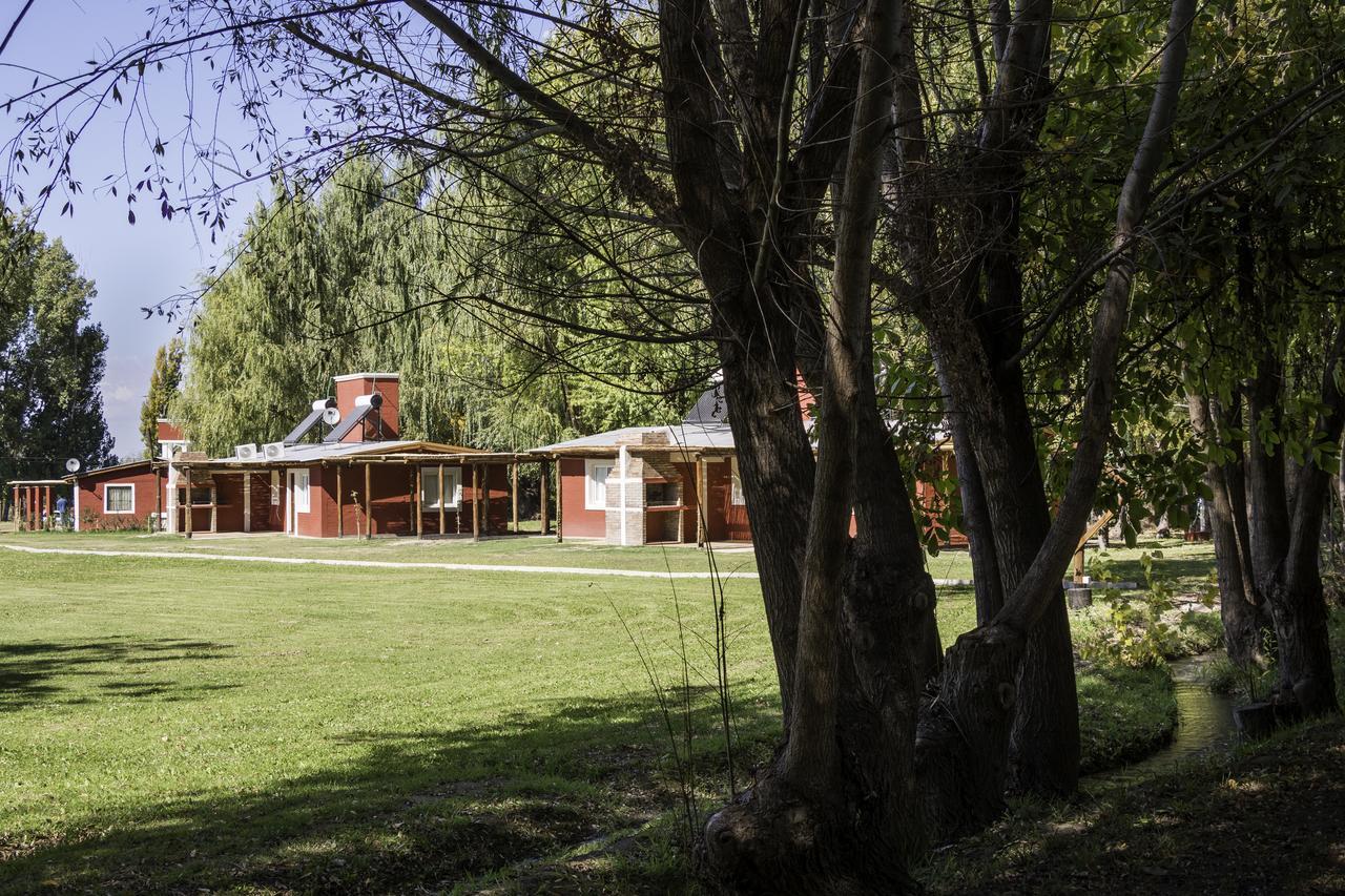 Cabanas El Remanso 图蓬加托火山 外观 照片